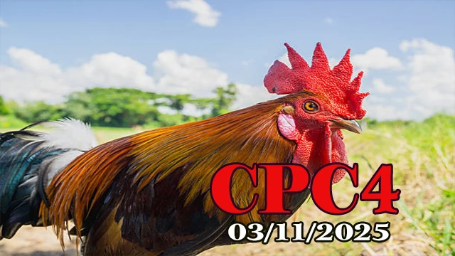 Xem lại đá gà trực tiếp C4 Thomo hôm nay 03/11/2025