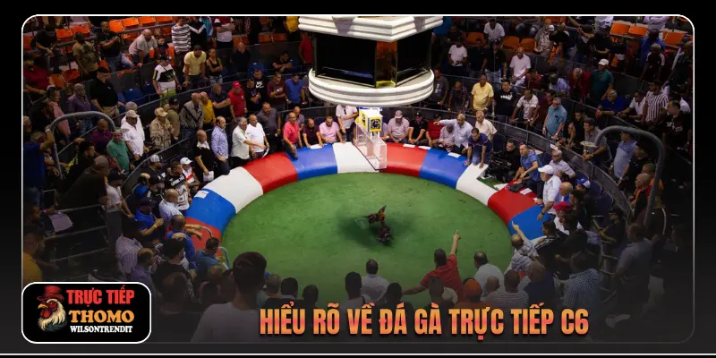 Đá Gà Trực Tiếp C6 1 Hiểu rõ về đá gà trực tiếp c6