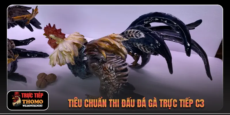 Đá Gà Trực Tiếp C3 2 Tiêu chuẩn thi đấu đá gà trực tiếp c3
