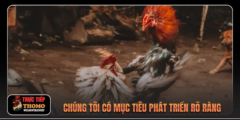Giới thiệu 4 Chúng tôi có mục tiêu phát triển rõ ràng