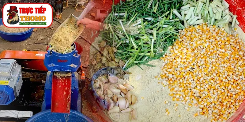 Rau củ tươi sạch nâng cao thể lực