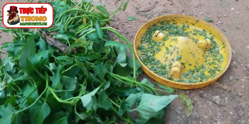Vi chất thiết yếu từ rau xanh bảo vệ cơ xương