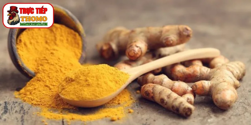 Cách làm thuốc bổ cho gà chọi từ nghệ