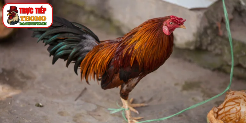 Kỹ thuật xả nghệ có hiệu quả lên làn da