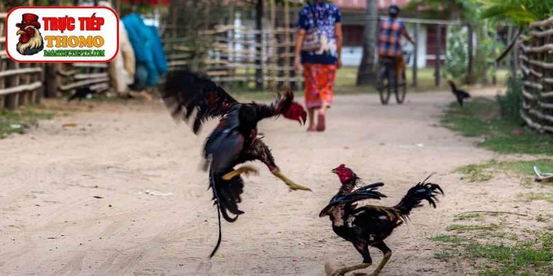 Xem xét màu da và độ nóng chi tiết